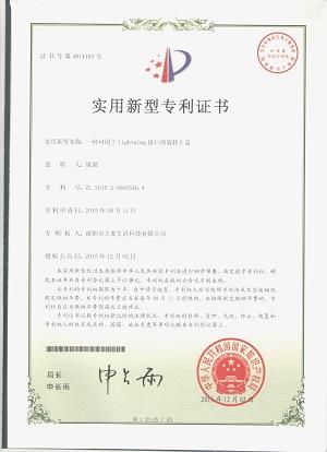 3.APD001 Utility Model Patent(001)